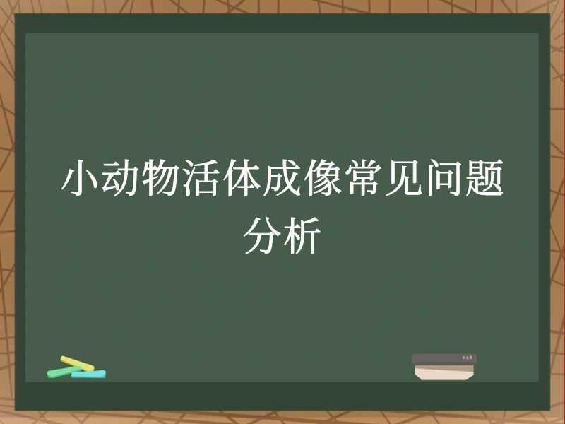 小動(dòng)物活體成像常見問題分析